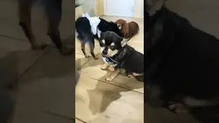 Доброе утро!!! Ждём вас в нашем телеграм. Ссылка в профиле!!!