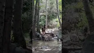 Things you encounter hiking in Los Angeles as a photographer!!!