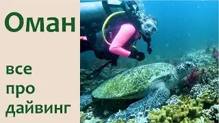Оман. Лучший дайвинг в Аравийском море и Оманском заливе.