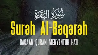 Surah Al Baqarah Dengan Suara Indah Membuat Hati Tenang | Ismail Al Qadi