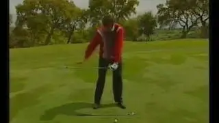 The 