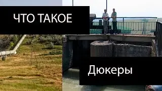 ЧТО ЗНАЕТЕ про Дюкеры ???