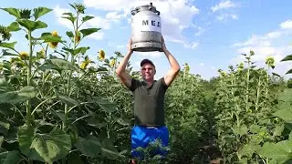 1100 пчеловодов о Медосборе 2021. Опрос, в Украине и других странах