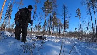 Мороз -40 ! ВЕЗЕТ НА КАЖДОМ ШАГУ! НОВЫЕ МЕСТА, ТО ГУСТО ТО ПУСТО ! Заработок на сборе серы .
