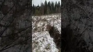 Снег не помеха . Копаю металл . Зима на подходе #копметалла #мд #металлоискатель