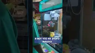 Выиграл суперприз в игровом автомате 