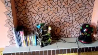 ОБЗОР КОМНАТЫ ОТДЫХА В БАНЕ/ВСЁ ОЧЕНЬ ПРОСТО