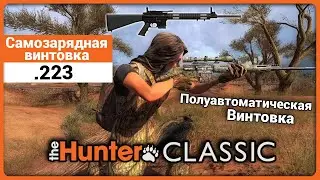Самозарядная винтовка .223 калибра в theHunter Classic !