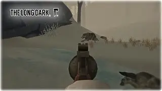 The Long Dark ( Сталкер ) #12 Бледная бухта !