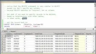 The DELETE statement in SQL