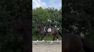 The best sport 🐴🖤 