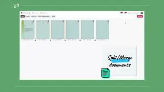 Odoo Spreadsheet App Tutorial: Real-Time Business Reporting Made Easy