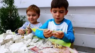 Мы нашли кости динозавров! Danko Toys раскопки динозавра Dino Paleontology kids