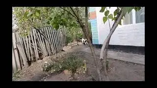 Дача мене не відпускає, а може це Я Не хочу її відпускати?....