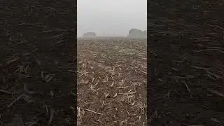 Копаю монеты в ураган 