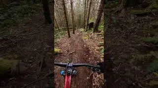 This rock roll is FAST!