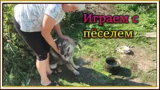 ВЛОГ: Едем на др /Закрыли дачный сезон