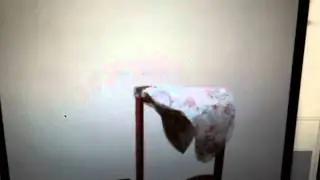 the moth-god flaps