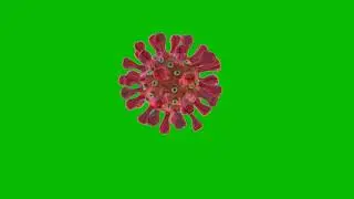 green screen coronavirus