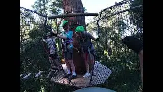Jay's 13th Birthday fun at Tree top fun park QLD