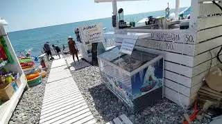 Цены на еду Адлер сочи набережная кафе столовые обзор еда пляж отдых море сколько стоит сравни 2024