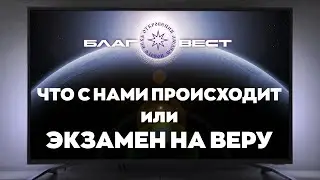 #БлагоВест