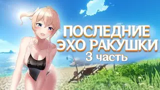 Genshin Impact - Локации последних Эхо Ракушек из ивент Эхо Легенд! часть 3
