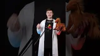 Сколько Лошадиных Сил у Лошади? 