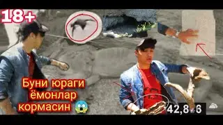 Биз кабирдан аждaрхонинг шохини топиб олдик!!