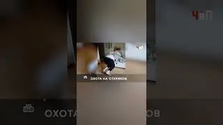 Накачивали пенсионерку препаратами ради квартиры  