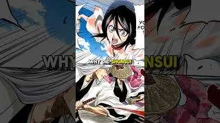 Why Did Shunsui & Ukitake Save Rukia? 