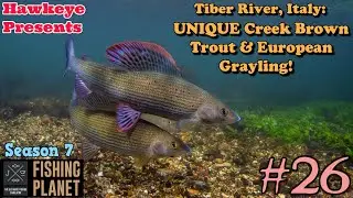 Fishing Planet #26 - S7 | Tiber River, Italy: UNIQUE Creek Brown Trout & Trophy European Grayling!