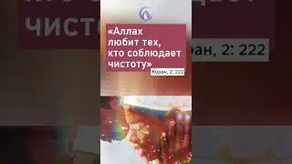 Соблюдает чистоту.... /  