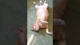 İftara 5 dakka kala ben / 5 minutes before iftar / 5 دقائق قبل الإفطار