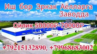 Иш Бор Заводда Эркак ва Аёлларга.Тел:+𝟕𝟗𝟔𝟔𝟖𝟔𝟖𝟑𝟎𝟎𝟐,+𝟕𝟗𝟐𝟏𝟓𝟏𝟑𝟐𝟖𝟗𝟎 В̠а̠т̠с̠а̠п̠ И̠м̠о̠.