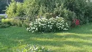 2019. Варлаамо-Хутынский монастырь.