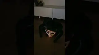 Пауки…