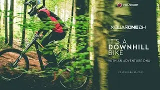 Polygon Downhill Bike - XQUARONE DH