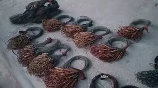 ҳалқоҳой турки настаяши ш душанбе 988418495