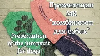 Presentation! Catsuit for dogs