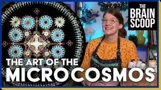 The world's smallest artwork is microscopic ✨
