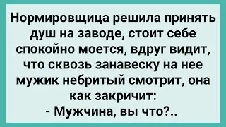 Как Нормировщица на Заводе Душ Принимала! Сборник Свежих Смешных Жизненных Анекдотов!