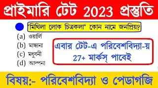 primary tet preparation 2023 | wb primary tet preparation 2023 | primary tet evs classes