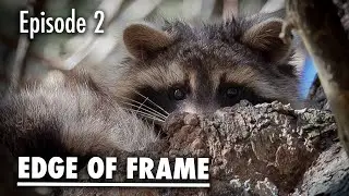 Why am I Doing This?  - Edge of Frame Episode 2
