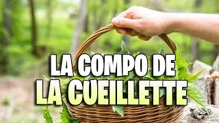 [BG] LA COMPO AUX MILLE SAVEURS