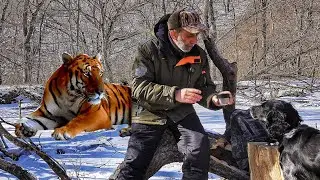 УШЁЛ в ТАЙГУ к Амурским тиграм с Новым Защищённым смартфоном.
