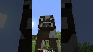 Smartest Minecraft Player (1,000+ iq)