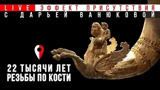 22 тысячи лет резьбы по кости. 