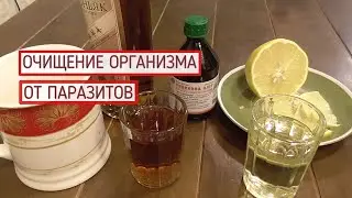 Очищение организма от паразитов.