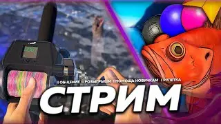 ☀️ РЕДКОСТИ 🌻 МОЖЕТ МОРЕ ПОРАДУЕТ ТРОФЕЕМ 🎁 Розыгрыши & Рулетка 🎄 СТРИМ Русская Рыбалка РР4